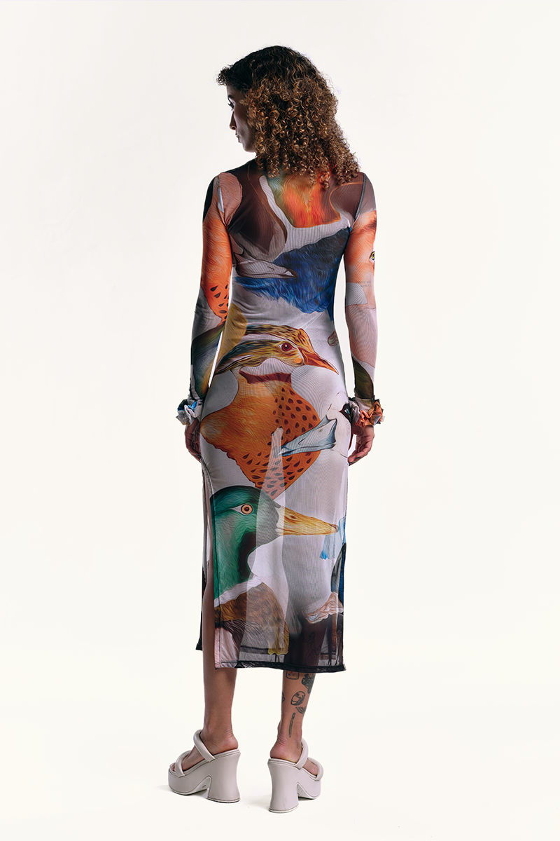 Tulle Duck dress